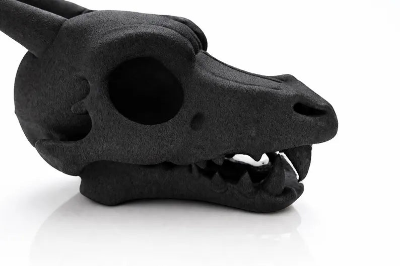Charizard Skull Aquarium Cave XL & XXL – Giant Dragon Fish Hideout | Fantasy Aquascape Centerpiece for Large Tanks