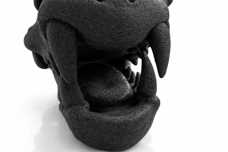 Charizard Skull Aquarium Cave XL & XXL – Giant Dragon Fish Hideout | Fantasy Aquascape Centerpiece for Large Tanks