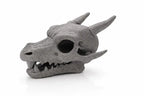 Charizard Skull Aquarium Cave XL & XXL – Giant Dragon Fish Hideout | Fantasy Aquascape Centerpiece for Large Tanks