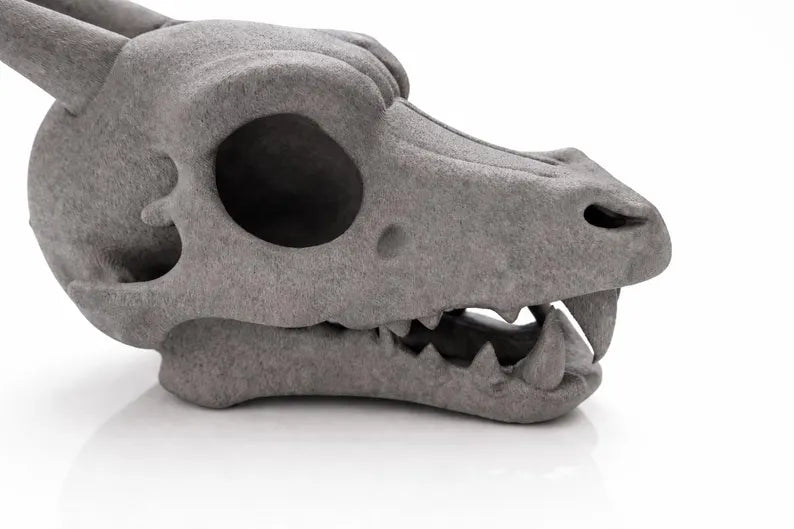 Charizard Skull Aquarium Cave XL & XXL – Giant Dragon Fish Hideout | Fantasy Aquascape Centerpiece for Large Tanks