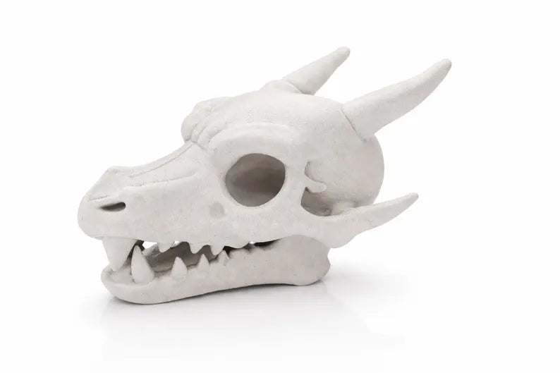 Charizard Skull Aquarium Cave XL & XXL – Giant Dragon Fish Hideout | Fantasy Aquascape Centerpiece for Large Tanks
