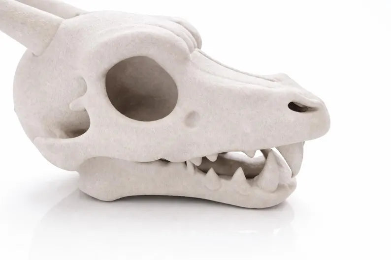 Charizard Skull Aquarium Cave XL & XXL – Giant Dragon Fish Hideout | Fantasy Aquascape Centerpiece for Large Tanks