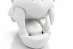 Charizard Skull Aquarium Cave XL & XXL – Giant Dragon Fish Hideout | Fantasy Aquascape Centerpiece for Large Tanks