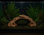 XL & XXL Driftwood Arch Aquarium Decor – Giant Woven Root Aquascape Centerpiece | Fish & Shrimp Shelter for Large Tanks