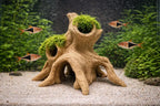 Driftwood Root Aquarium Cave – Natural Mangrove Style Fish Hideout