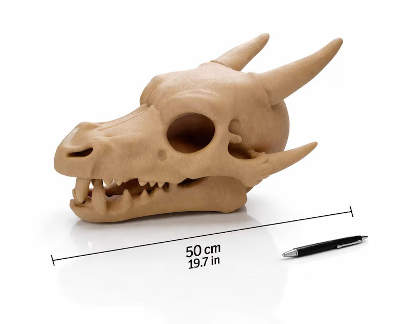 Charizard Skull Aquarium Cave XL & XXL – Giant Dragon Fish Hideout | Fantasy Aquascape Centerpiece for Large Tanks