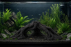 XXL Aquarium Arch Driftwood Decor 50cm / 70cm – Giant Woven Root Aquascape Structure for Large Aquariums