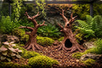 Miniature Tree Set A – Aquarium & Terrarium Forest Decor
