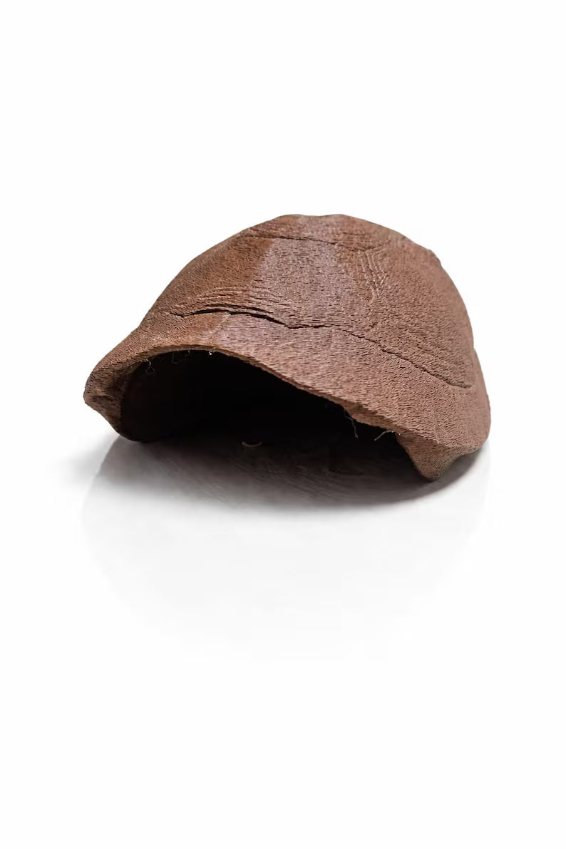 Turtle Shell Aquarium Cave – Natural Fish Hideout | Shrimp & Betta Shelter | Freshwater Aquascape Decor