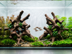 Mangrove Duo Roots | 3D Printed Aquarium Driftwood | Modular Aquascape Hardscape | Fish & Shrimp Shelter