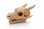 Charizard Skull Aquarium Cave XL & XXL – Giant Dragon Fish Hideout | Fantasy Aquascape Centerpiece for Large Tanks