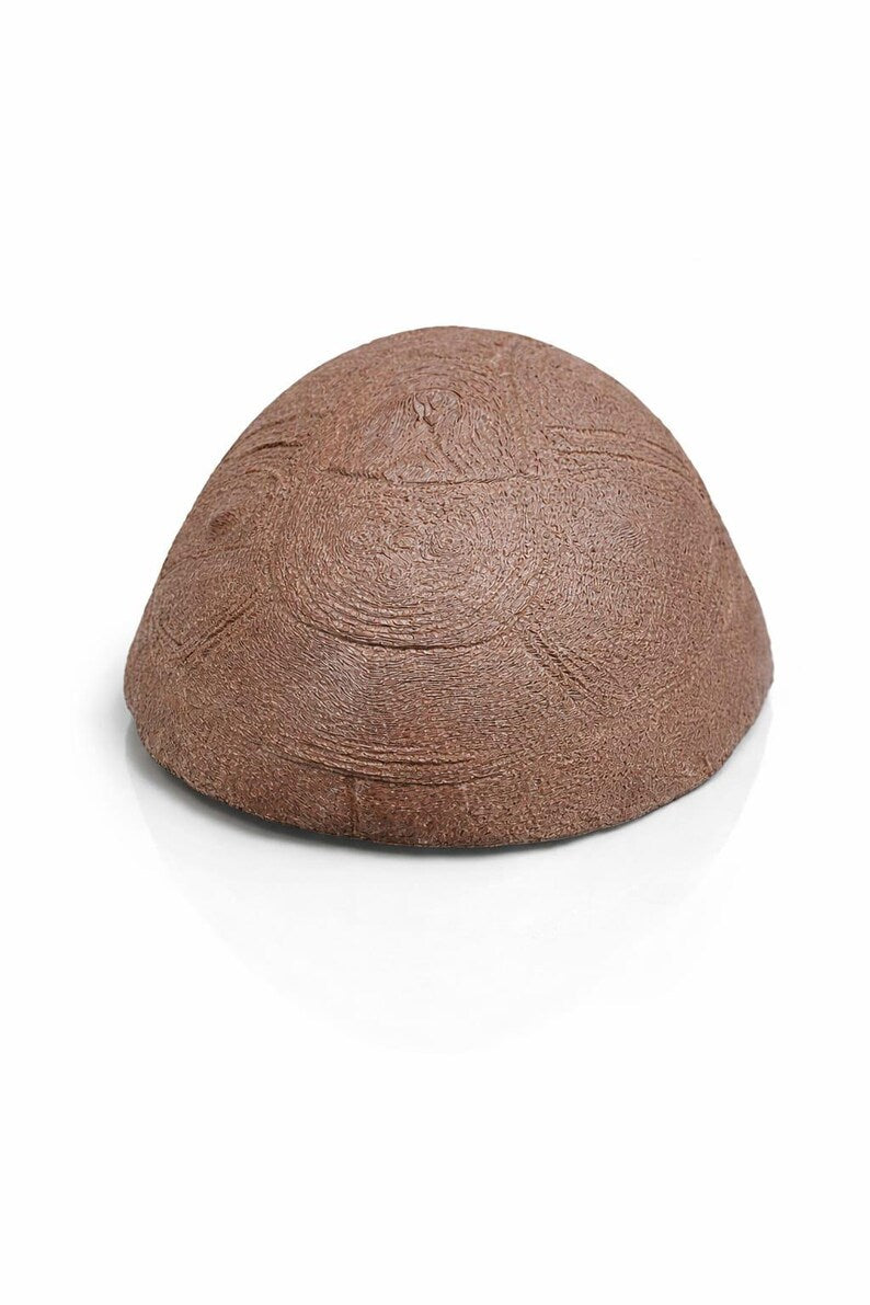 Turtle Shell Aquarium Cave – Natural Fish Hideout | Shrimp & Betta Shelter | Freshwater Aquascape Decor