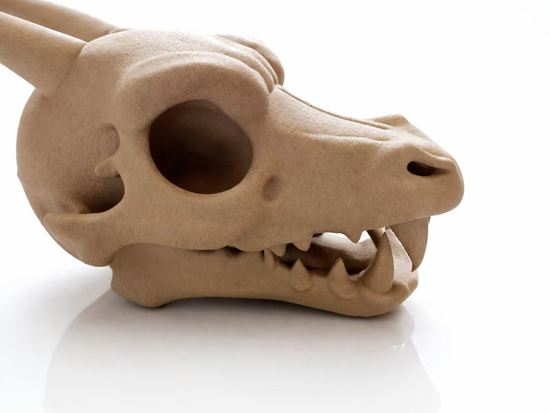 Charizard Skull Aquarium Cave XL & XXL – Giant Dragon Fish Hideout | Fantasy Aquascape Centerpiece for Large Tanks