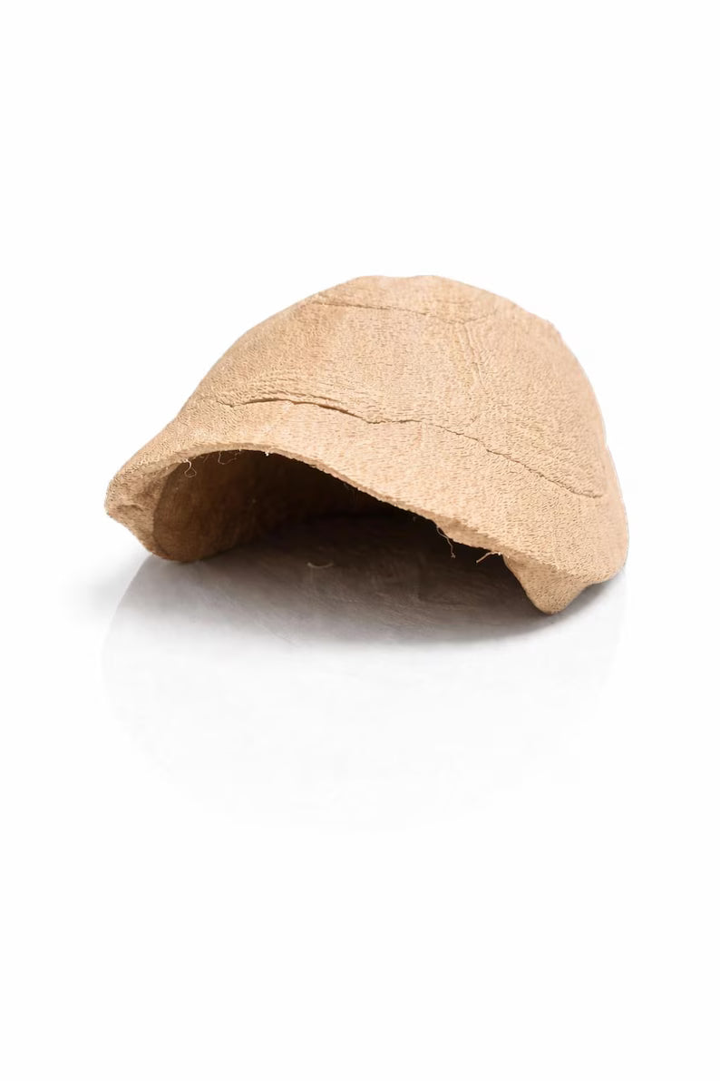 Turtle Shell Aquarium Cave – Natural Fish Hideout | Shrimp & Betta Shelter | Freshwater Aquascape Decor