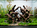 Mangrove Duo Roots | 3D Printed Aquarium Driftwood | Modular Aquascape Hardscape | Fish & Shrimp Shelter