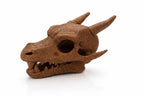 Charizard Skull Aquarium Cave XL & XXL – Giant Dragon Fish Hideout | Fantasy Aquascape Centerpiece for Large Tanks