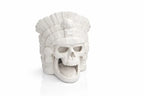 Aztec Skull Nano Aquarium Cave – 30L Temple Aquascape Decor