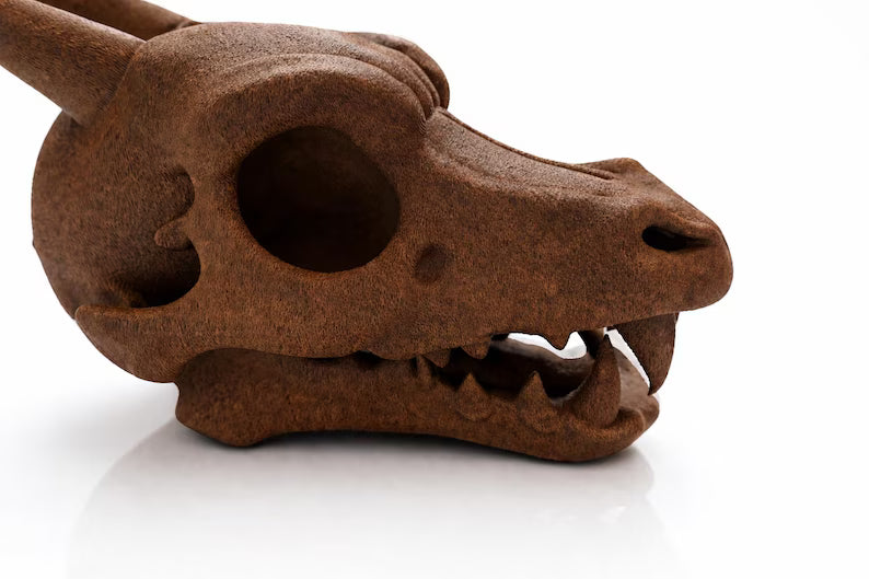 Charizard Skull Aquarium Cave XL & XXL – Giant Dragon Fish Hideout | Fantasy Aquascape Centerpiece for Large Tanks