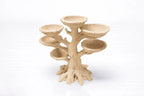 Aquarium Moss Bonsai Tree – Aquascape Plant Holder for Moss & Shrimp Tanks