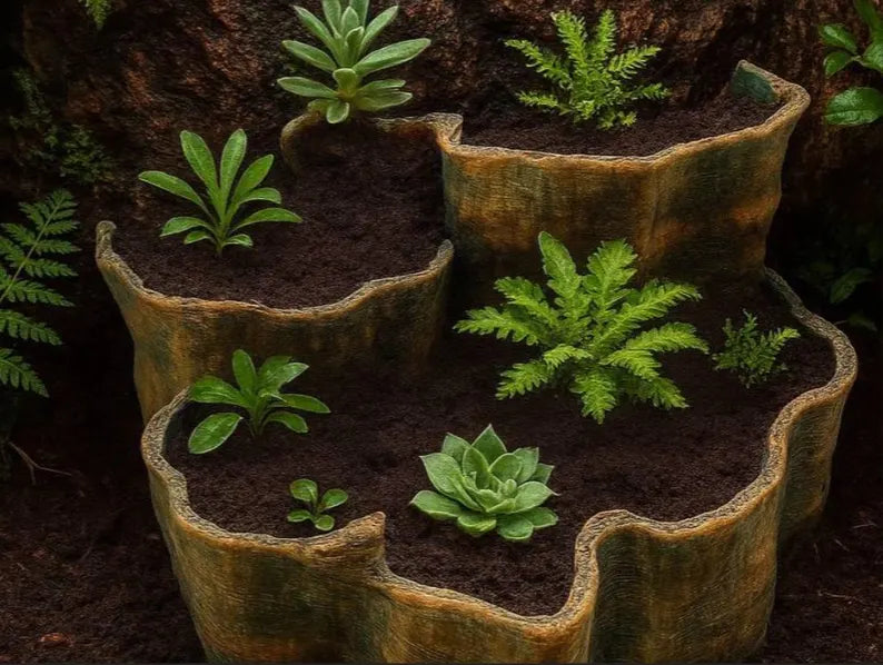 Multi-Level Aquarium Planter – Aquascape Moss & Epiphyte Holder