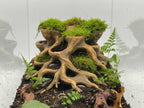 Root Cave Aquarium Planter – Natural Wood Style Hideout with Plant Cups